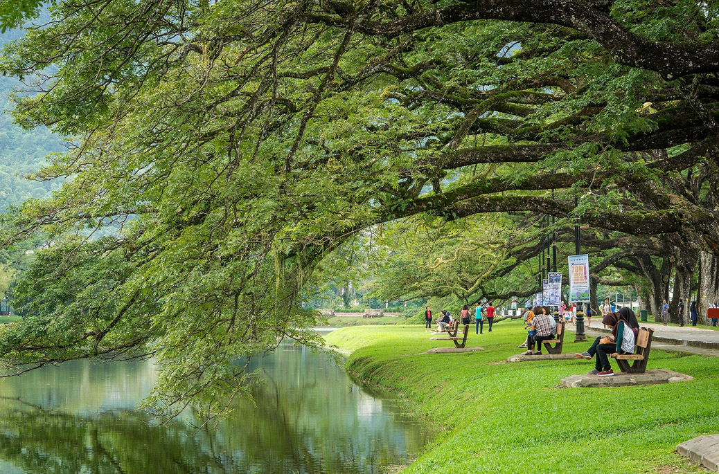 Taiping Lake Gardens