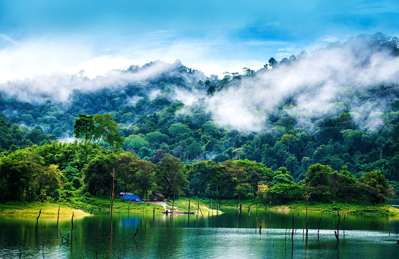 Royal Belum rainforest